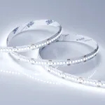 Arlight Лента RT-A240-10mm 24В Cool 8K 19.2 В/м IP20 3528 5м 19.2 Вт/м IP20 018728(2)