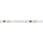 Arlight Лента SPI-B60-10mm 24В RGB-PX6-BPT 12 В/м IP20 5060 5м 039180