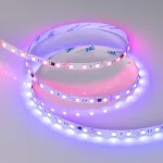 Arlight Лента SPI-B60-10mm 24В RGB-PX6-BPT 12 В/м IP20 5060 5м 039180