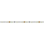 Arlight Лента RT-A60-5mm 12В Cool 8K 4.8 В/м IP20 2835 5м узкая 028610(2)