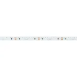 Arlight Лента RS-S120-8mm 24В Blue 9.6 В/м IP20 3014 5м боковое свечение 037153