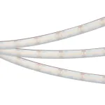 Arlight Светодиодная лента герметичная RTW-PS-A240-12mm 24В Warm2700 19 В/м IP67 5м 052648
