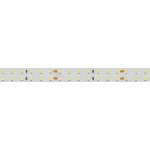 Arlight Лента RT-A196-15mm 24В Cool 8K 20 В/м IP20 2835 5м 20 Вт/м IP20 019088(2)
