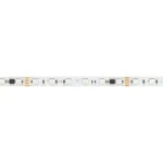 Arlight Лента DMX-B60-10mm 24В RGB-PX6-RAM 15 В/м IP20 5060 5м 033448