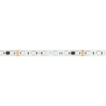 Arlight Лента DMX-B60-10mm 24В RGB-PX6-RAM 15 В/м IP20 5060 5м 033448