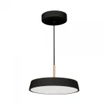 Arlight Светильник SP-ELEGANT-R300-17Вт Warm3000 BK 120 deg 230В IP20 033921(1)