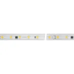 Arlight Лента ARL-PV-B54-15.5mm 230В White6000 8 В/м IP65 5060 50м 8 Вт/м IP65 027056(2)