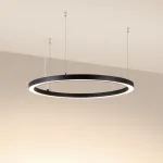 Светильник SP-CIRCLE-HANG-O3535-D900-55Вт Warm3000 RAL9005 120 deg 230В IP40 LED Arlight Алюминий 049368