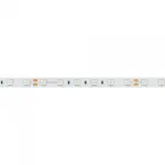 Лента RT-B60-10mm 24В Blue 14.4 В/м IP20 5м Arlight 008819(3)