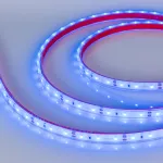 Arlight Лента герметичная RTW-PFS-A60-11mm 12В Blue 4.8 В/м IP68 2835 5м 034012