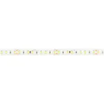 Arlight Лента FITOLUX-SE-A144-10mm 24В Day4000-Red 14 В/м IP65 2835 5м 14 Вт/м IP65 038170