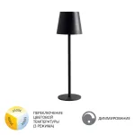 Уличный настольный светильник ARTE LAMP FUYUE A1614LT-1BK в лаконичном стиле