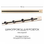 Накладной шинопровод с выключателем, 25A 250V 385201TOB/100 Gold от ImperiumLoft