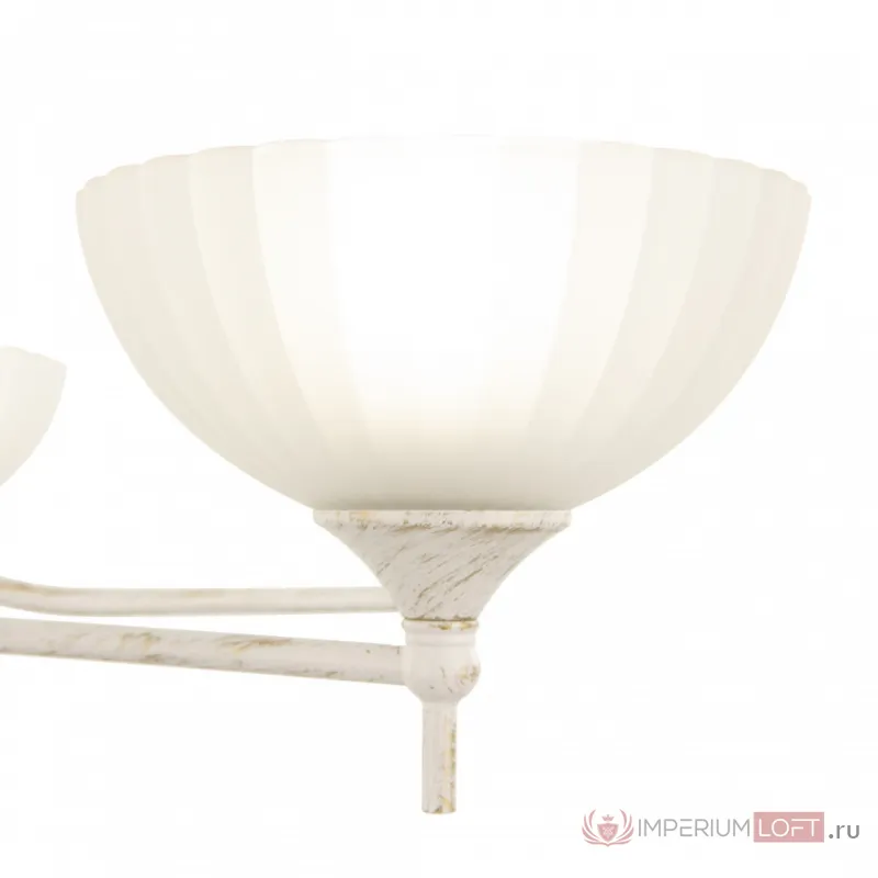 Люстра Arte Milano AM340049 340049/6 WT+G от ImperiumLoft