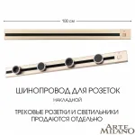 Накладной шинопровод с выключателем, 25A 250V 385201TOB/100 Gold от ImperiumLoft