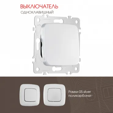 Выключатель одноклавишный, 10AX 250V 205.30-1.silver