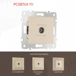 Розетка TV 203.43-1.shampan