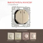 Выключатель жалюзи с подсветкой, 10A 250V 202.39-2.shampan от ImperiumLoft