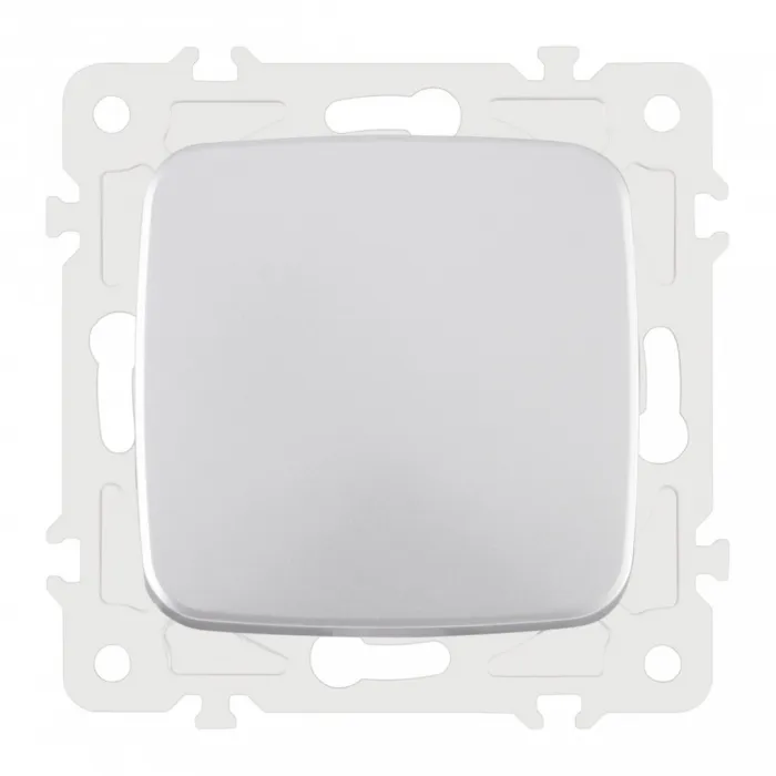 Выключатель одноклавишный, 10AX 250V 205.30-1.silver от ImperiumLoft