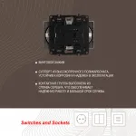 Розетка двойная с заземлением, 16A 250V 217.40-2.shampan