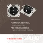 Розетка с заземлением и шторками, 16A 250V 202.40-1.black