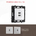 Розетка USB 2.1А+1А 217.46-1.silver от ImperiumLoft