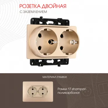 Розетка двойная с заземлением, 16A 250V 217.40-2.shampan