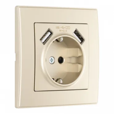 Комплект розетки с заземлением, шторками, рамкой однопостовой + 2 USB Arte Milano SET06-1-47-1 shampan