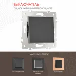 Выключатель одноклавишный проходной (на 2 направления) , 10AX 250V 203.32-1.black