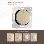 Выключатель двухклавишный, 10AX 250V 202.30-2.shampan