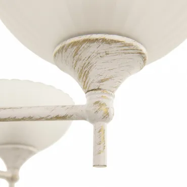 Люстра Arte Milano AM340049 340049/6 WT+G от ImperiumLoft