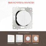Выключатель жалюзи, 10A 250V 202.38-2.white от ImperiumLoft