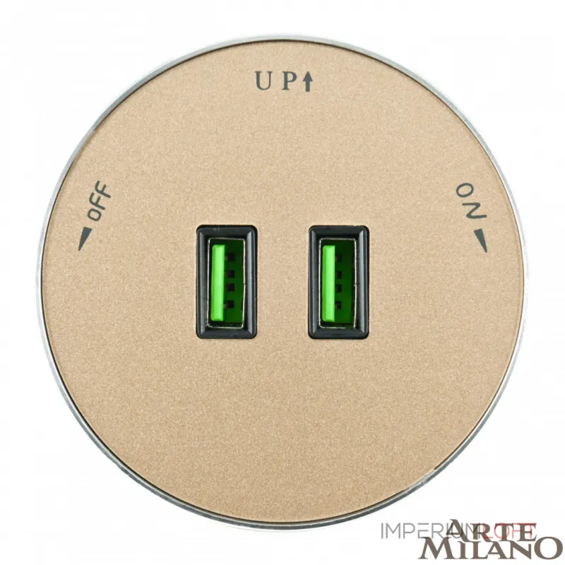 Трековая розетка, 2.1A 250V 380011TS/USBx2 Gold от ImperiumLoft Трековая розетка, 2.1A 250V 380011TS/USBx2 Gold от ImperiumLoft