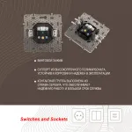 Розетка TV 217.43-1.shampan от ImperiumLoft