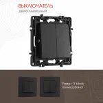 Выключатель двухклавишный, 10AX 250V 217.30-2.black от ImperiumLoft