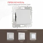 Переключатель одноклавишный перекрёстный, 10AX 250V 203.34-1.silver от ImperiumLoft