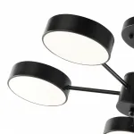 Светильник светодиодный Arte Milano Ferrara 250906/5B Bk