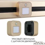 Трековый светильник с датчиком движения Arte Milano Am-track-sockets 380022TLS/LWS Gold