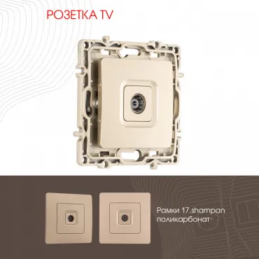Розетка TV 217.43-1.shampan Розетка TV 217.43-1.shampan