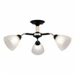 Потолочная люстра Arte Milano Napoli-322408 324108/3 BK+FG