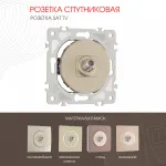 Розетка спутниковая, SAT TV 202.42-1.shampan