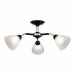 Потолочная люстра Arte Milano Napoli-322408 324108/3 BK+FG