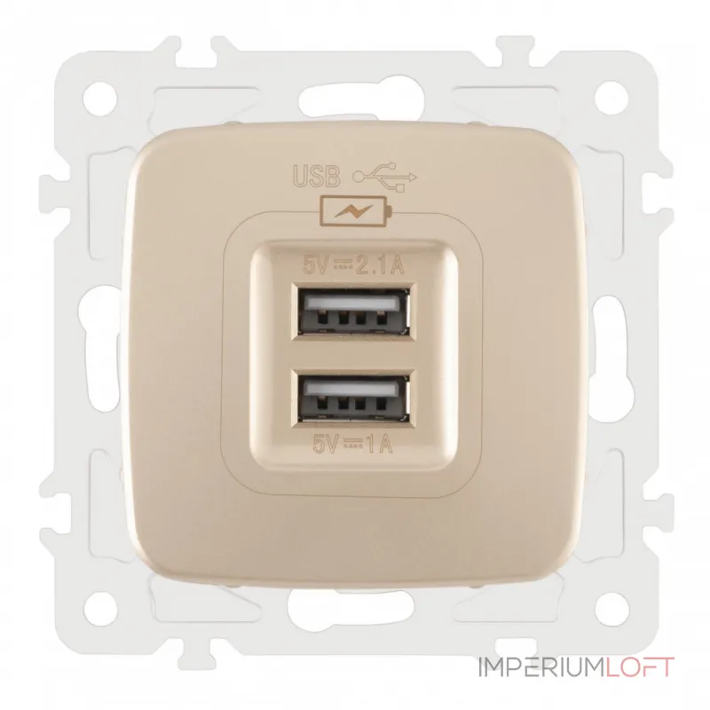 Розетка USB 2.1А+1А 205.46-1.shampan