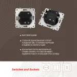 Выключатель одноклавишный проходной (на 2 направления), 10AX 250V 202.32-1.shampan от ImperiumLoft