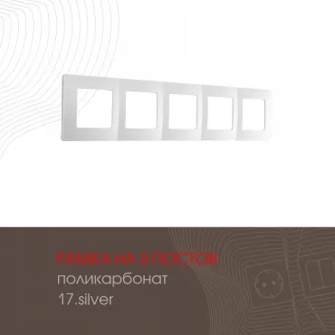 Рамка из поликарбоната на 5 постов 517.17-5.silver Рамка из поликарбоната на 5 постов 517.17-5.silver