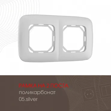 Рамка из поликарбоната на 2 поста 505.05-2.silver Рамка из поликарбоната на 2 поста 505.05-2.silver