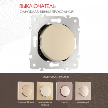 Выключатель одноклавишный проходной (на 2 направления), 10AX 250V 202.32-1.shampan