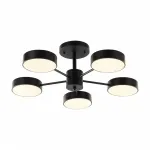 Светильник светодиодный Arte Milano Ferrara 250906/5B Bk