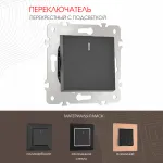 Переключатель одноклавишный перекрёстный с подсветкой, 10AX 250V 203.35-1.black от ImperiumLoft