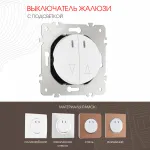 Выключатель жалюзи с подсветкой, 10A 250V 202.39-2.white от ImperiumLoft
